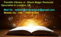 Pandith Vikram ji - Famous Indian Vedic Astrologer image 8